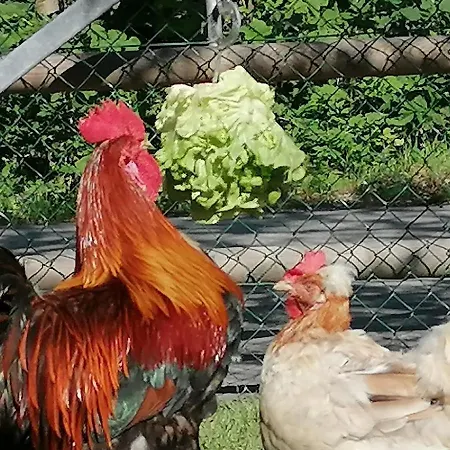 Luxus Fasserhäusl Im Zillertal - Sauna ,hot Tub, Kamin&alpenblick Für Bis Zu 10 Personen Chalet *