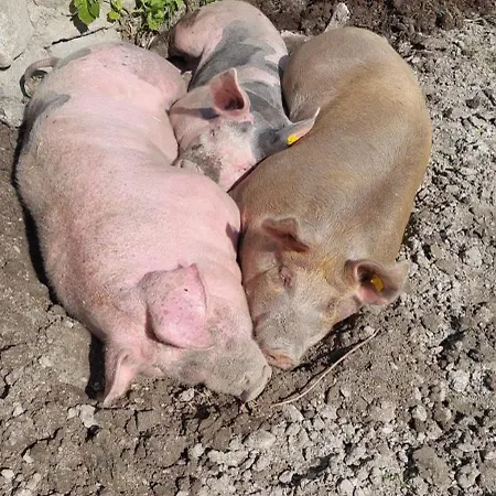 Chalet Luxus Fasserhäusl Im Zillertal - Sauna ,hot Tub, Kamin&alpenblick Für Bis Zu 10 Personen